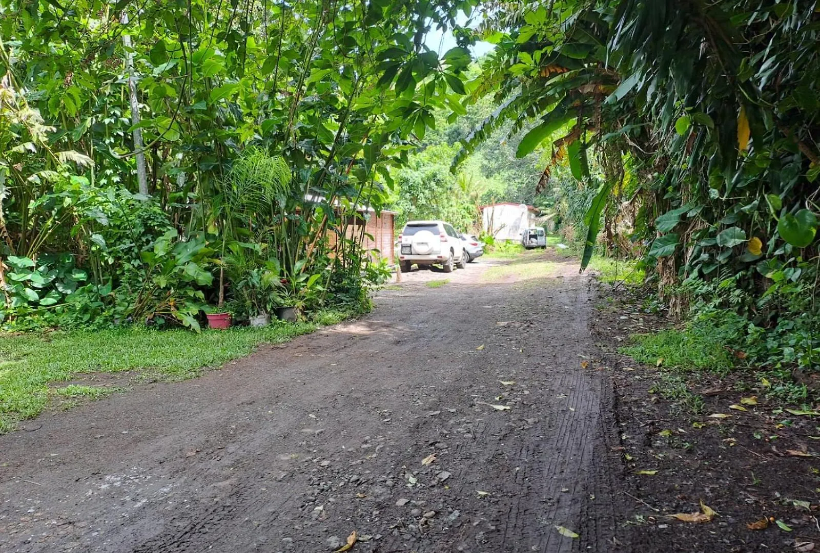 Hostal La 'Tite Kabane Du Matouba Saint-Claude 0*,